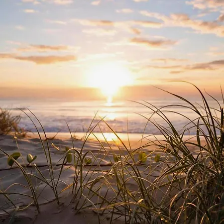 Ferien Auf Im Blue Lagoon